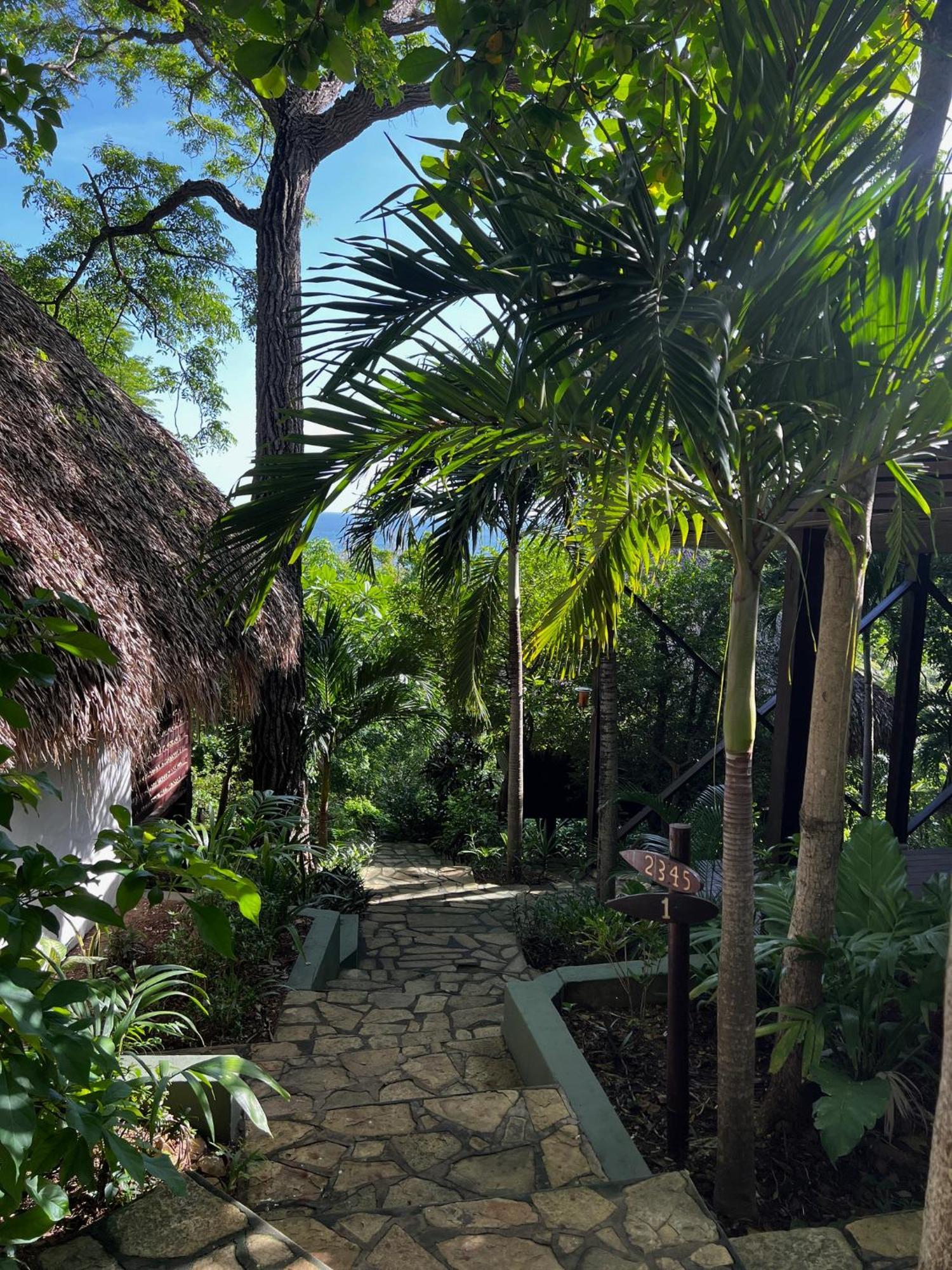 Buena Vista Surf Club Hotel Playa Maderas Bagian luar foto